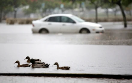 As US cities build green infrastructure, here’s one way they’re paying for it